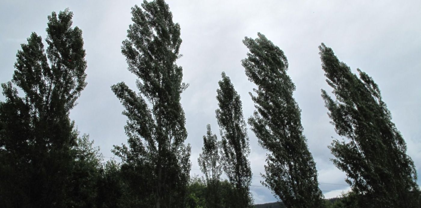 1641937869315.jpg?x=7&y=3&width=1486&height=743&rotate=0&scaleX=1&scaleY=1&ow=1500&oh=842&&cw=1920&ch=950