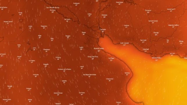 se acerca la ola de calor extremo a la plata: ¿cuando llega y de cuanto seran las maximas?