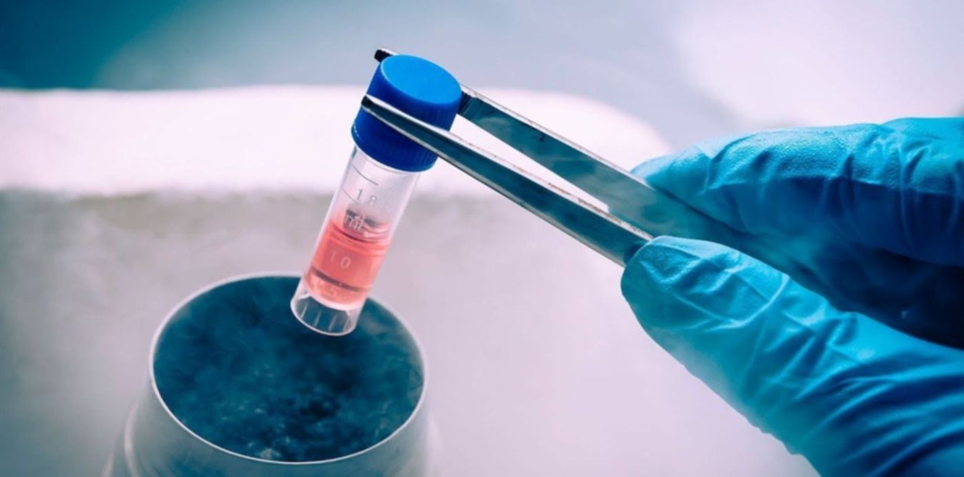 1570659318707.jpg?x=3&height=636&oh=720&scaleX=1&scaleY=1&ow=1280&y=21&width=1271&rotate=0&&cw=1920&ch=950