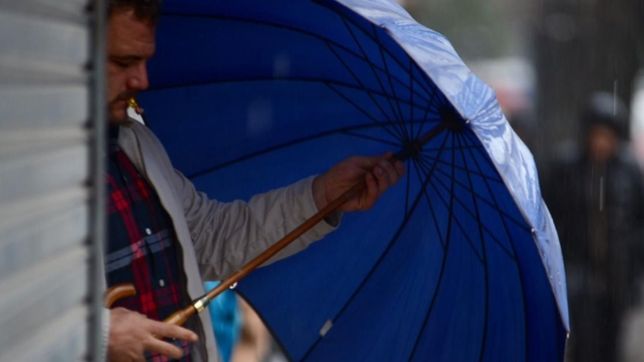 llovio en la plata y asi va a seguir en clima: ¿cuando llegan las tormentas?