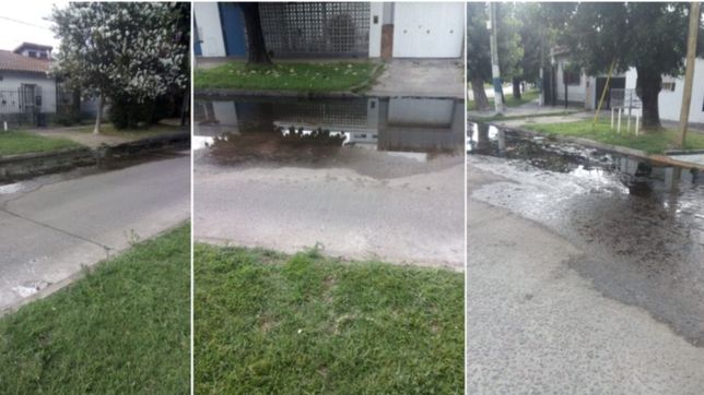 vecinos enardecidos contra absa por un pileton repleto de mosquitos