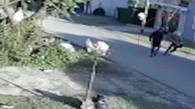 asi actua el macho, un peligroso delincuente que roba y golpea mujeres en la plata