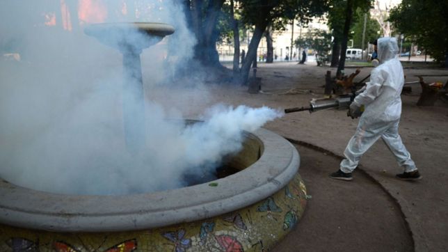 es esperable un aumento progresivo e importante de los numeros de casos de dengue