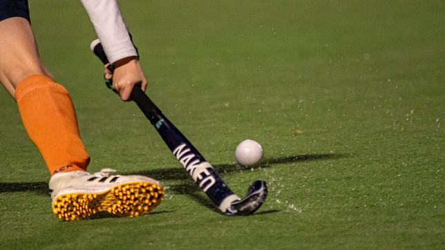 ¿quien era la jugadora de hockey que murio en la plata en medio de un partido?