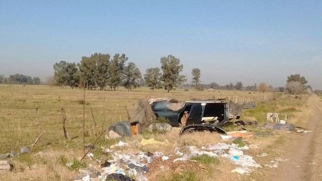?adopte un gato para espantar ratas?, el drama de un vecino de el rincon por la basura