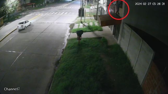 trepo a una pared, entro por la ventana para robar celulares y ahora los localizaron a una cuadra