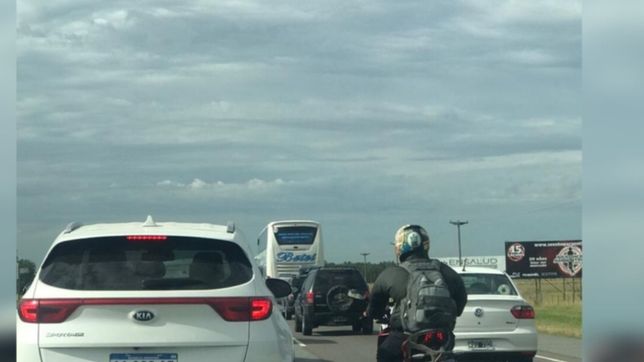 a paso de hombre y con intenso transito: asi esta la ruta 2 camino a la costa