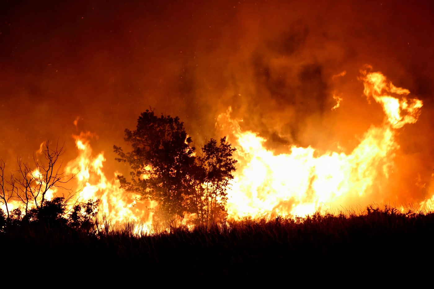Incendios El Bolsón Patagonia (5).webp