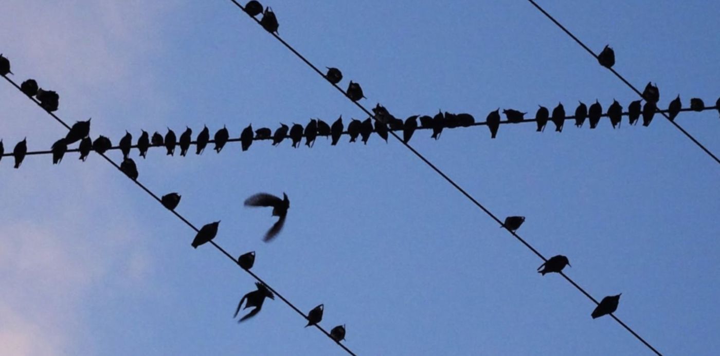 1548847362778.jpg?height=744&rotate=0&ow=1500&x=4&width=1489&scaleX=1&scaleY=1&oh=1125&y=263&&cw=1920&ch=950