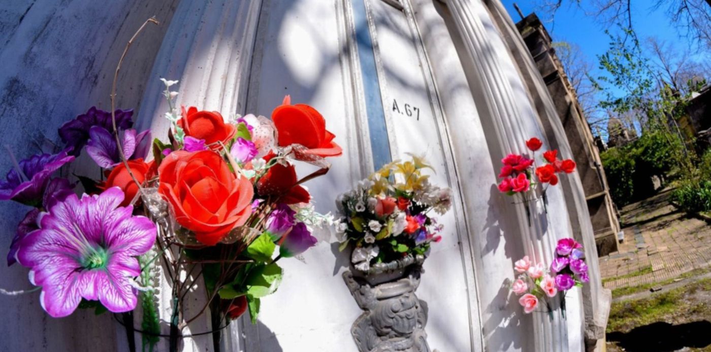 1544290689764.jpg?x=30&y=263&width=1460&height=730&rotate=0&scaleX=1&scaleY=1&ow=1500&oh=1000&&cw=1920&ch=950