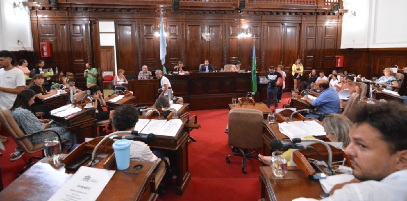 Darío Ganduglia Concejo Deliberante