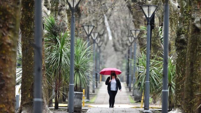 viento, tormenta y minima de 16°c: ¿como va a estar el clima para ir a votar en la plata?