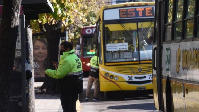 los platenses opinaran a traves de una encuesta para definir como funcionara el transporte
