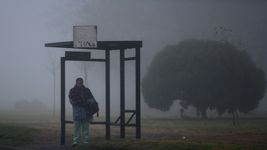 la plata, berisso y ensenada en alerta violeta por la niebla: ¿de que se trata y cuando terminara? la plata, berisso y ensenada en alerta violeta por la niebla: ¿de que se trata y cuando terminara?