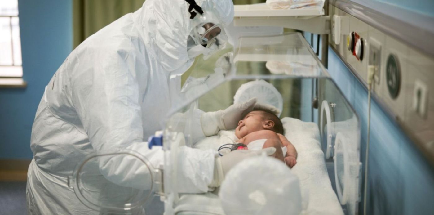 1585782237587.jpg?ow=1350&x=6&width=1338&rotate=0&scaleX=1&y=138&height=669&scaleY=1&oh=900&&cw=1920&ch=950