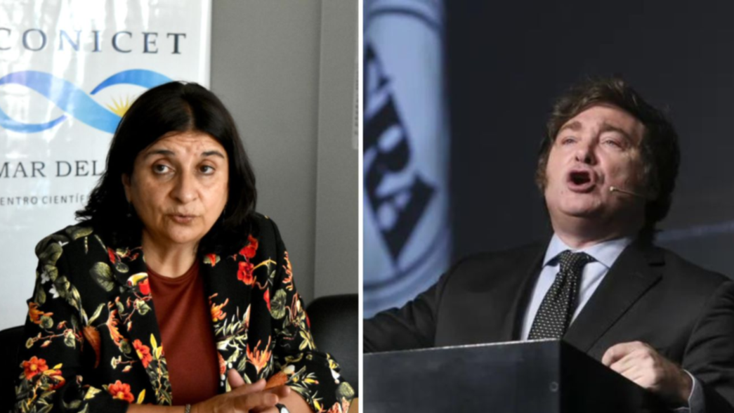 La titular del CONICET cruzó a Milei por su idea de cerrarlo: La ciencia es soberanía