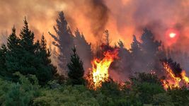 un colectivo de la plata busca enviar borcegos a la patagonia para brigadistas que combaten el fuego un colectivo de la plata busca enviar borcegos a la patagonia para brigadistas que combaten el fuego