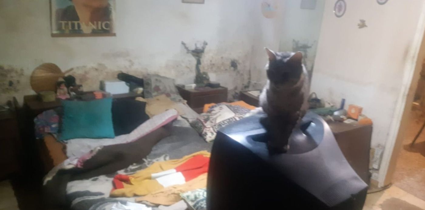 1644096124973.jpeg?x=32&y=5&width=1436&height=718&rotate=0&scaleX=1&scaleY=1&ow=1500&oh=728&&cw=1920&ch=950