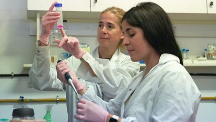 Científicas argentinas identifican una posible vía de propagación del COVID prolongado