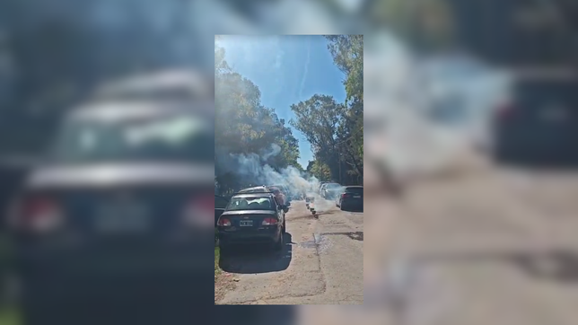 el conflicto entre el club san luis y vecinos sumo un nuevo capitulo durante el clasico de rugby platense