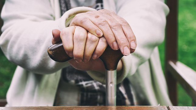 motochorros atacaron a una jubilada en plena calle y le robaron todas sus pertenencias