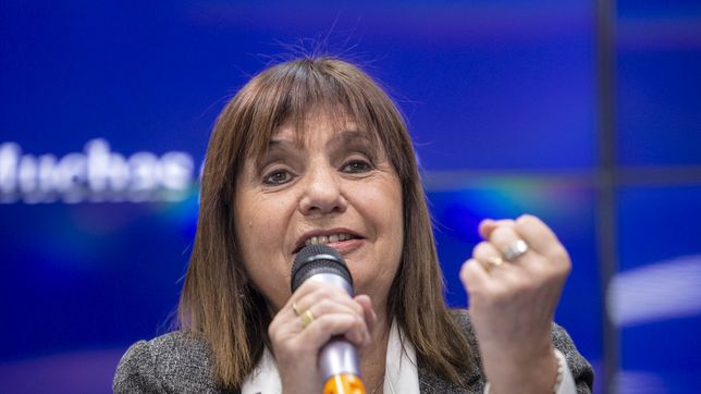 patricia bullrich anuncio que el proyecto de ley antibarras ingreso a la camara de diputados