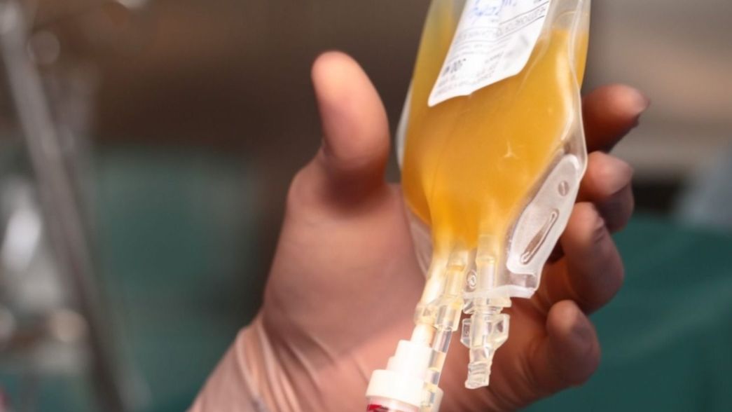 Desmienten que en un hospital de La Plata guarden el plasma para pacientes privilegiados