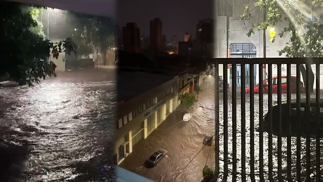 calles inundadas, autos arrastrados y arboles caidos: todos los videos de la plata en medio del diluvio