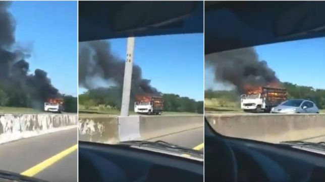 susto en plena autopista: un camion se prendio fuego y ardio a la vera de la ruta