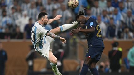 Argentina Campeón del Mundo