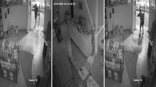 en un corralon de la plata aseguran que el mismo ladron los robo por cuarta vez en un mes