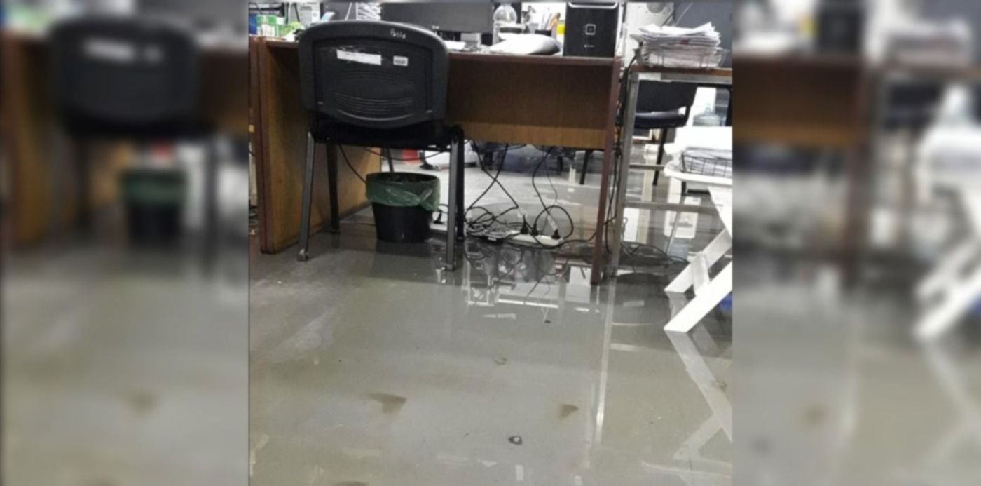 1560859196143.jpeg?width=1274&rotate=0&oh=720&scaleX=1&scaleY=1&ow=1280&x=3&y=0&height=637&&cw=1920&ch=950