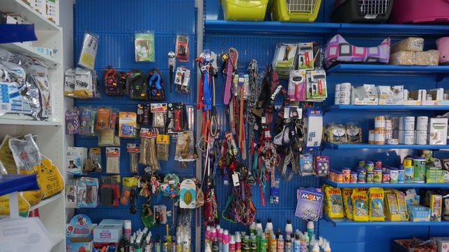 banco nacion impulsa beneficios especialmente pensados para los amantes de las mascotas