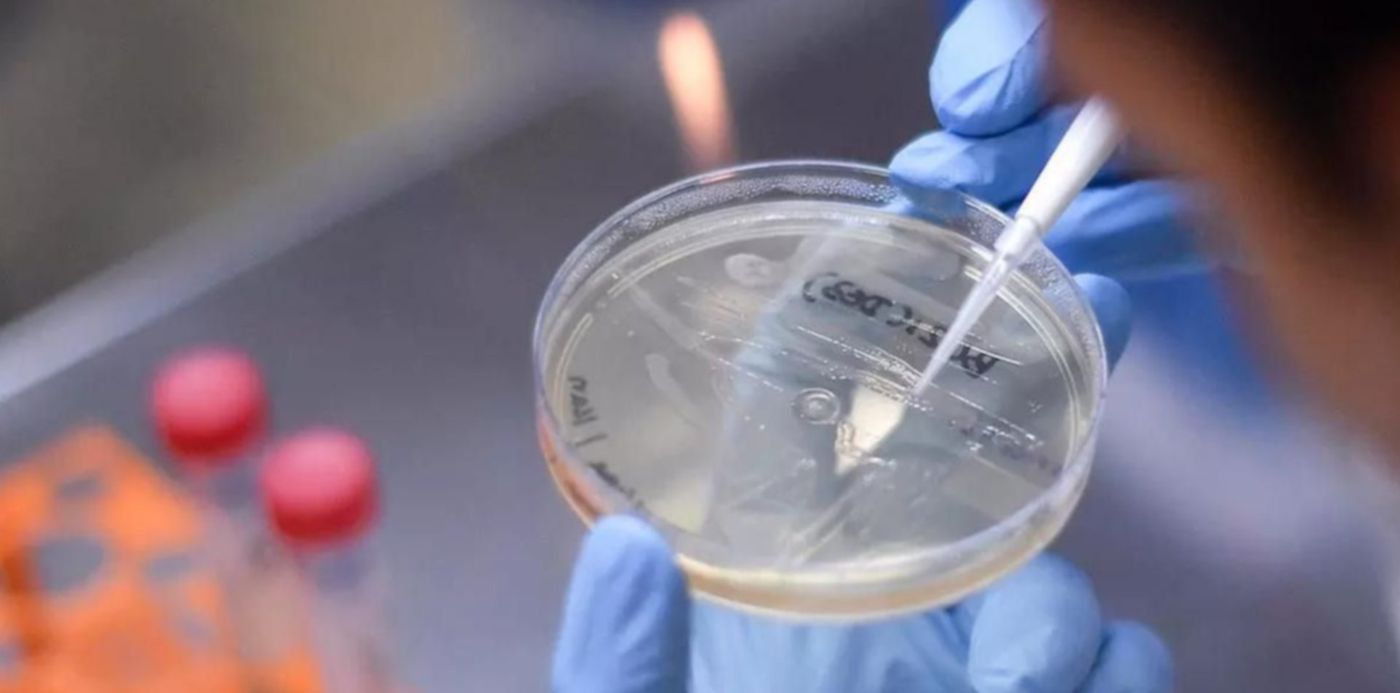 1624303272186.jpg?x=5&y=115&width=1190&height=594&rotate=0&scaleX=1&scaleY=1&ow=1200&oh=800&&cw=1920&ch=950