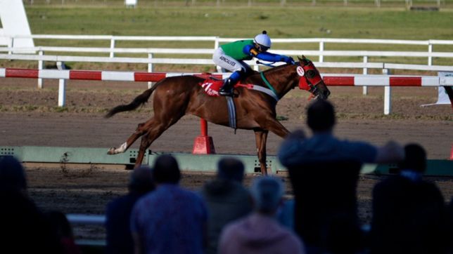 reabre el hipodromo de la plata y vuelven las carreras, pero sin publico