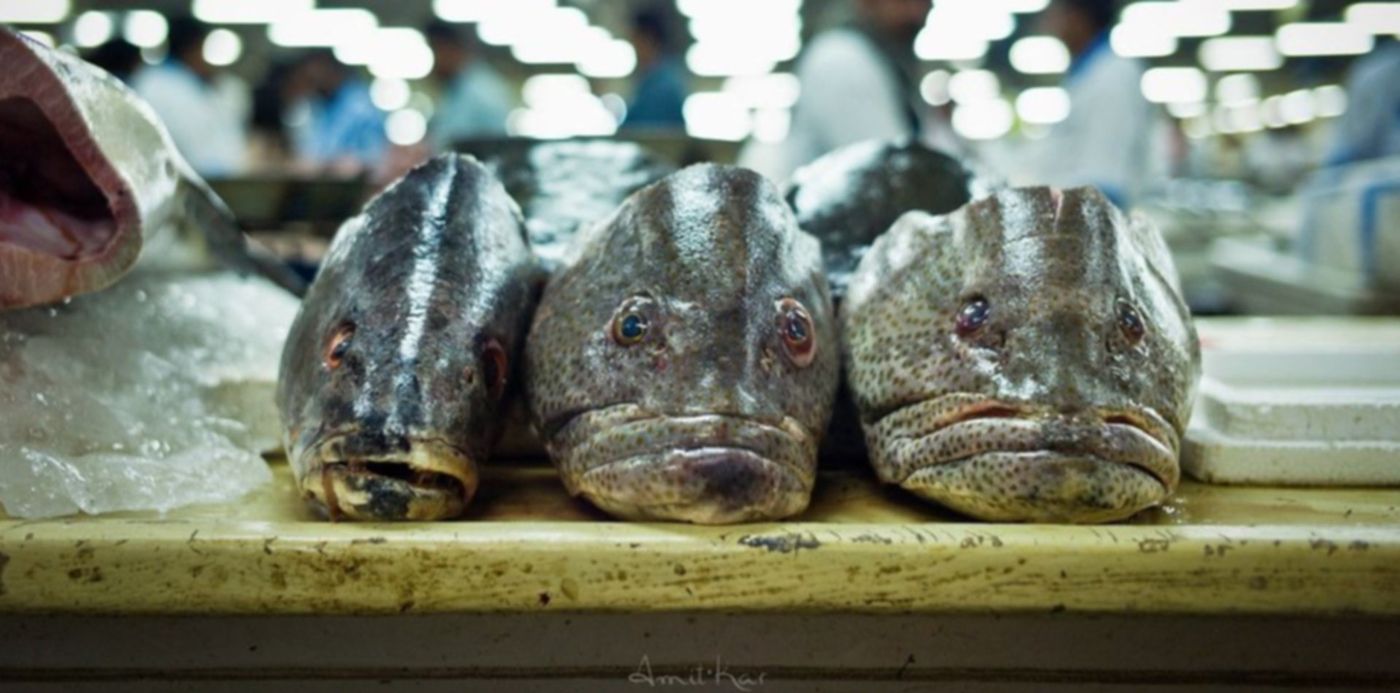 1586545236853.jpg?x=5&height=507&scaleX=1&ow=1024&oh=698&y=191&width=1015&rotate=0&scaleY=1&&cw=1920&ch=950