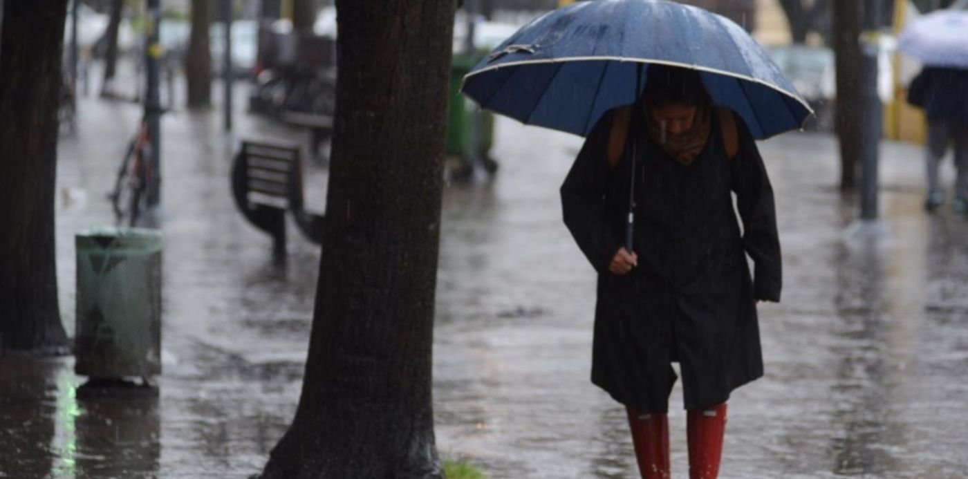 1568076410935.jpeg?y=155&height=633&rotate=0&scaleY=1&x=11&width=1267&scaleX=1&ow=1280&oh=899&&cw=1920&ch=950