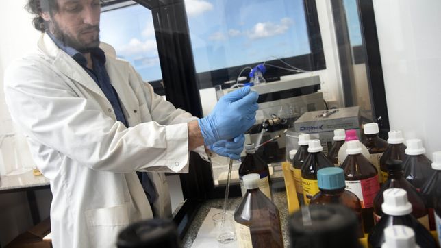 la unlp participa de una investigacion clave en la busqueda de medicamentos contra el chagas