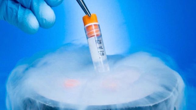 nacio el primer bebe con embriones criopreservados en un hospital publico de la plata