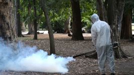 arranco la campana para evitar la propagacion de mosquito del dengue arranco la campana para evitar la propagacion de mosquito del dengue