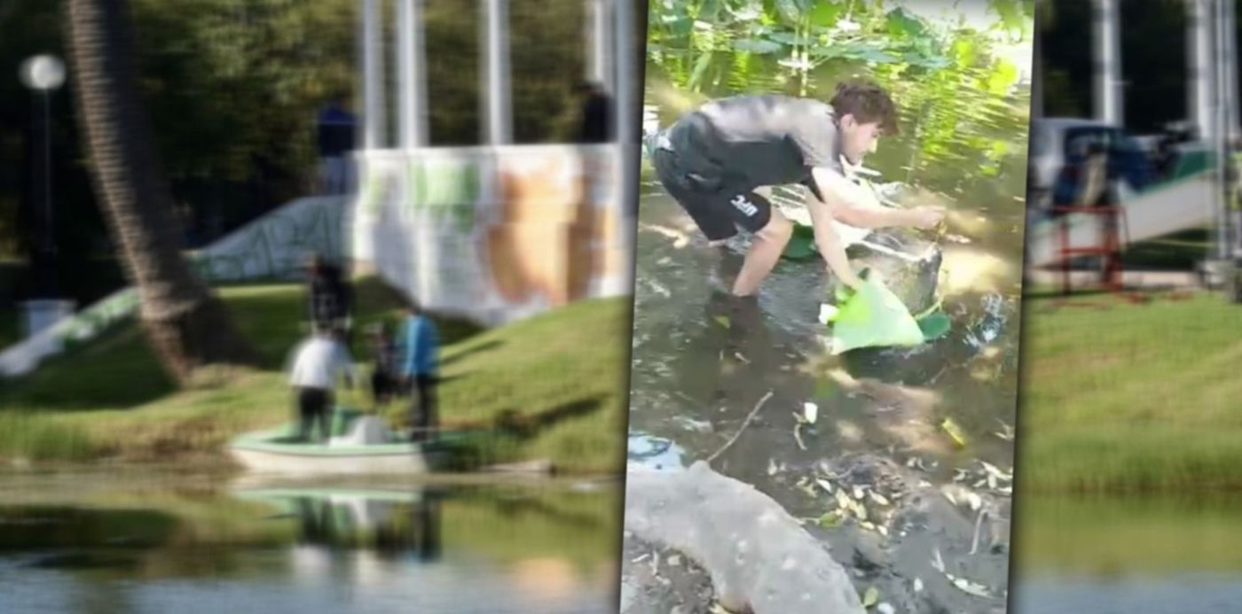 1676306602586.jpg?x=8&y=0&width=1484&height=742&rotate=0&scaleX=1&scaleY=1&ow=1500&oh=742&&cw=1920&ch=950