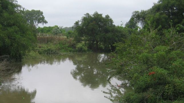un pescador se cayo a un arroyo de berisso hace tres dias y desaparecio