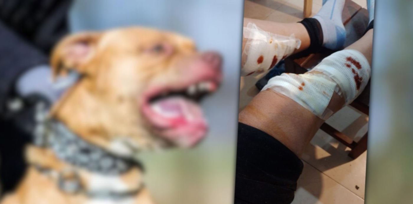 1692644628721.jpg?x=20&y=5&width=1460&height=730&rotate=0&scaleX=1&scaleY=1&ow=1500&oh=742&&cw=1920&ch=950