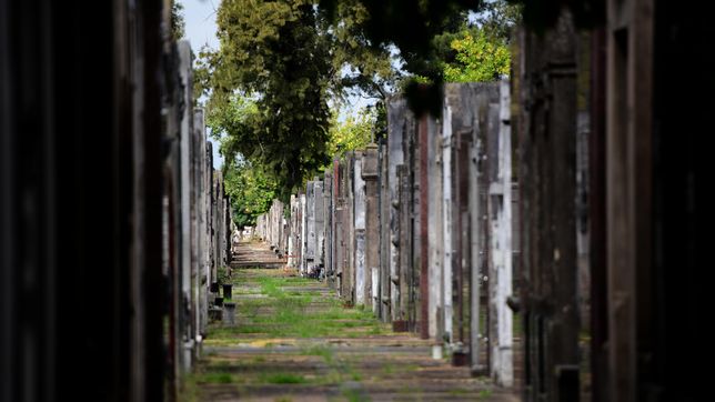 reinhumaran 13.500 restos humanos en el cementerio de la plata
