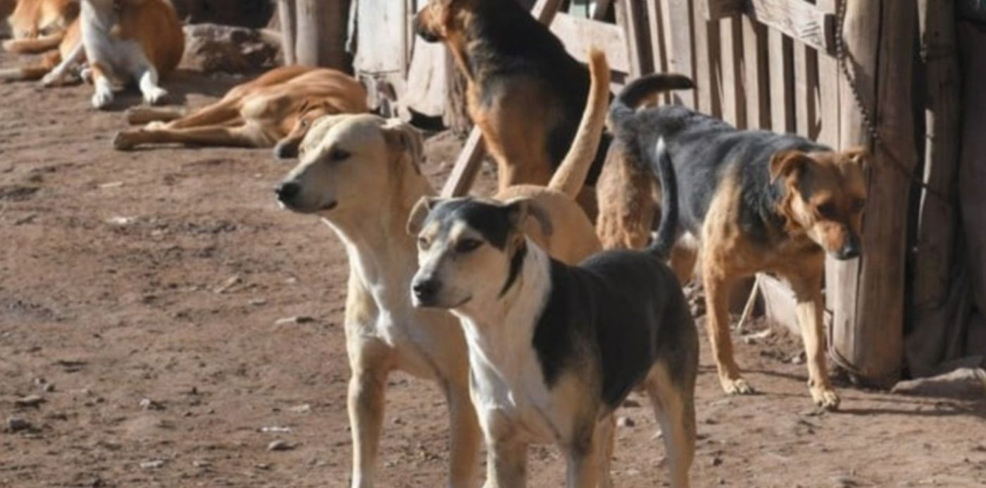 1681215109370.jpg?x=11&y=4&width=1260&height=630&rotate=0&scaleX=1&scaleY=1&ow=1280&oh=720&&cw=1920&ch=950