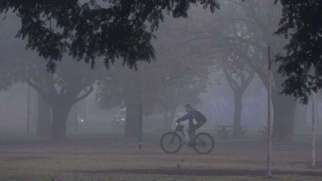 cielo cubierto y nieblas: asi seguira el clima en la previa del fin de semana