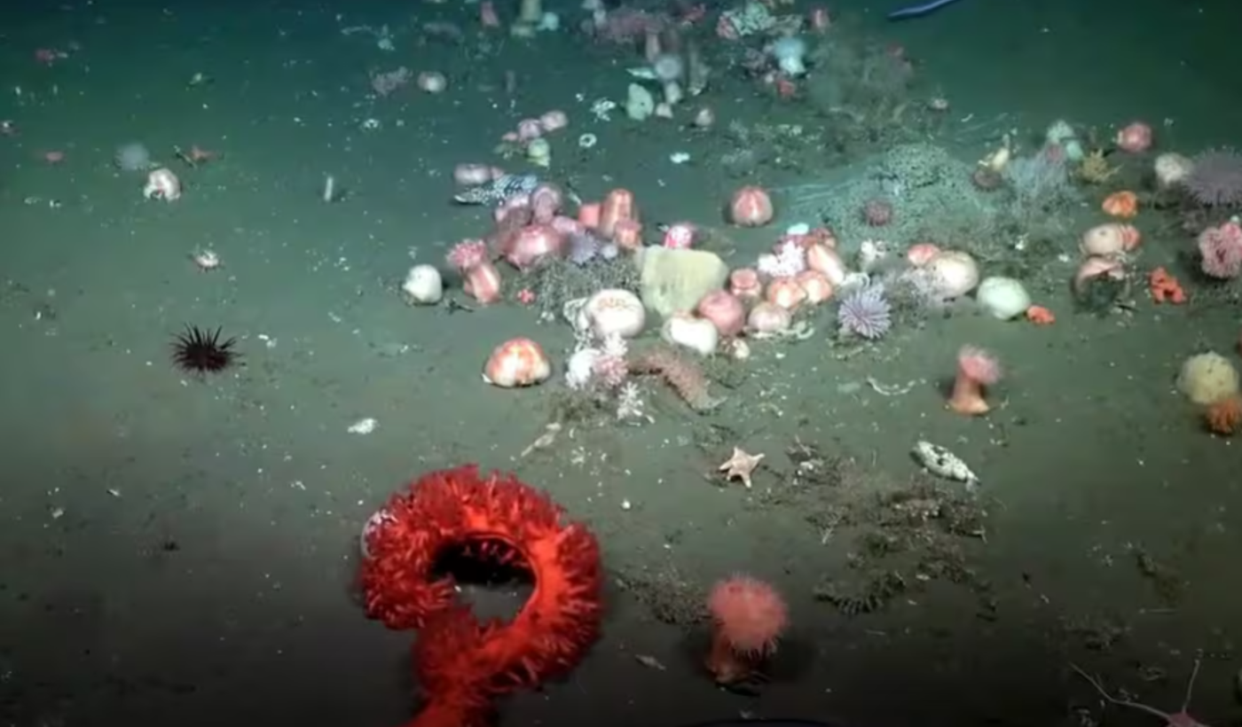 Diseño sin título (7)