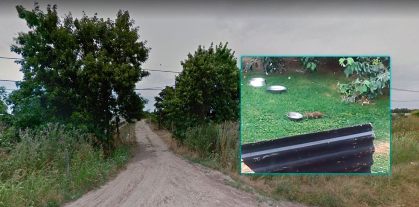 1547647398094.jpg?&cw=1920&ch=950