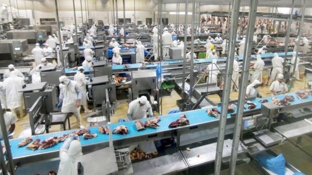 asi sera el nuevo frigorifico de berisso