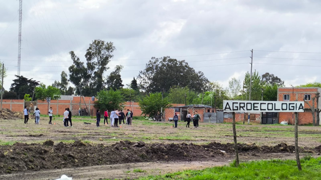 la comunidad de la escuela juan xxiii iniciara acciones legales por la clausura de sus invernaderos